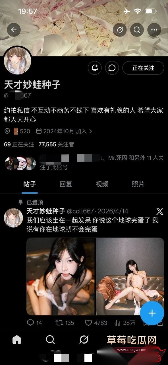 天才妙蛙种子11