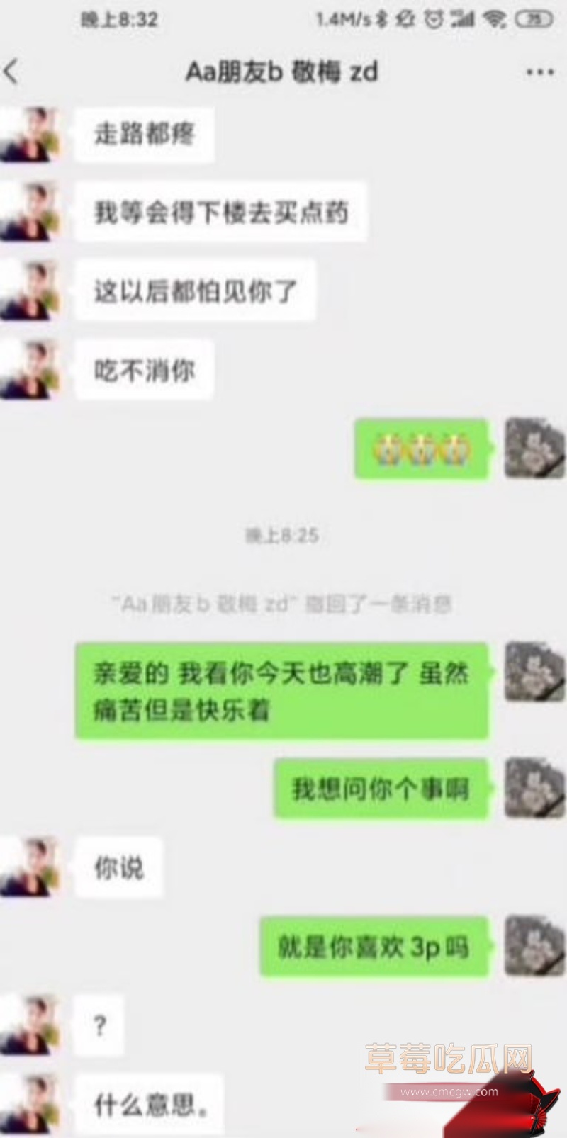 雨竹先生新作 少妇的秘密第二部6