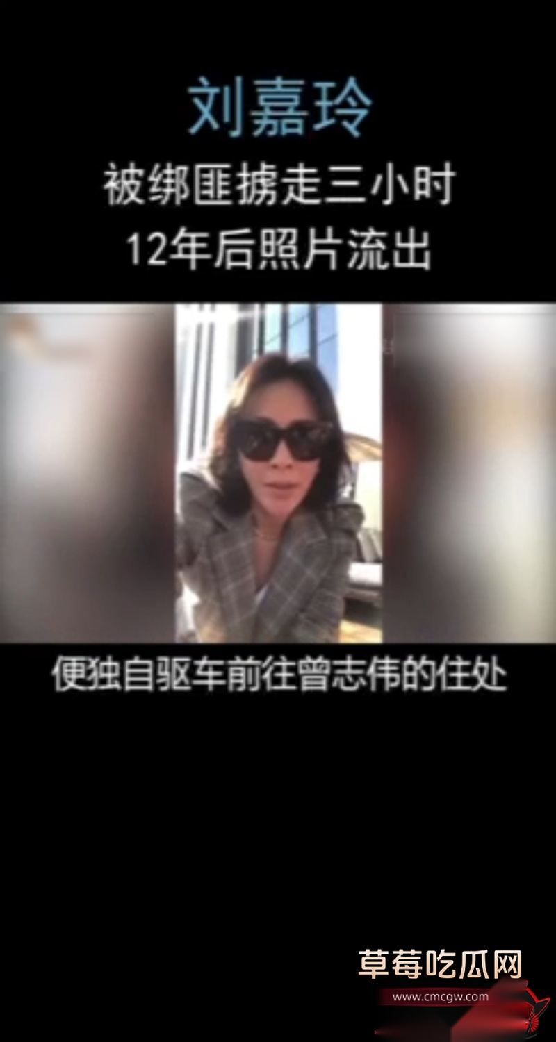 港圈大佬 陈惠敏 爆出猛料 5
