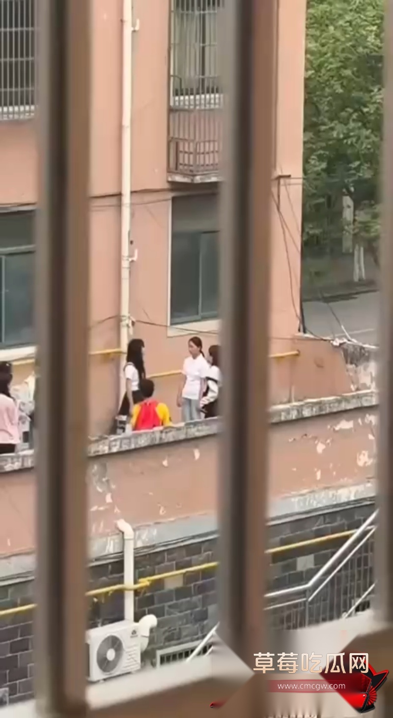 安徽庐江县城北二小 4