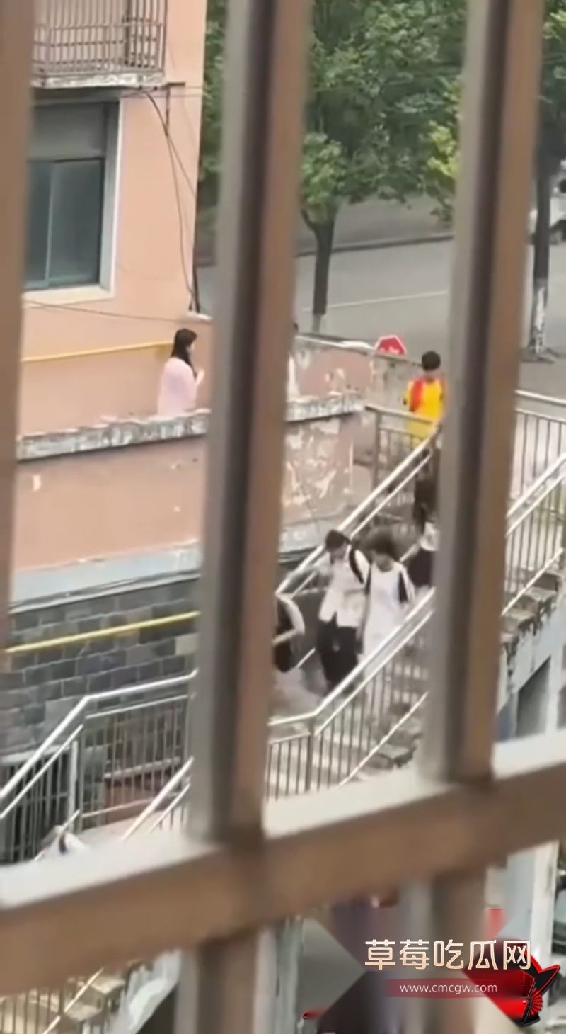 安徽庐江县城北二小 2