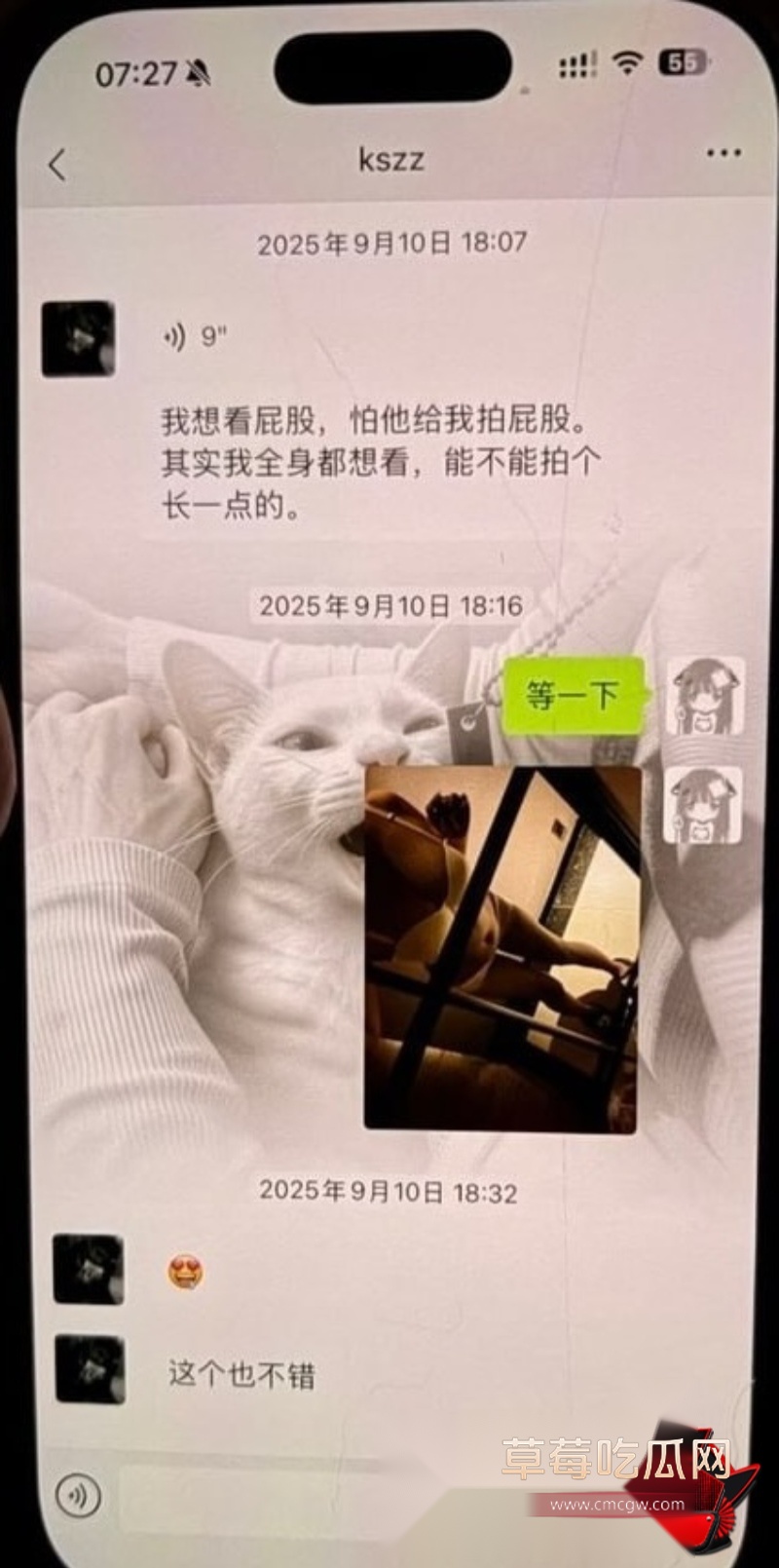 贾湘口交吃鸡侧入猛插9