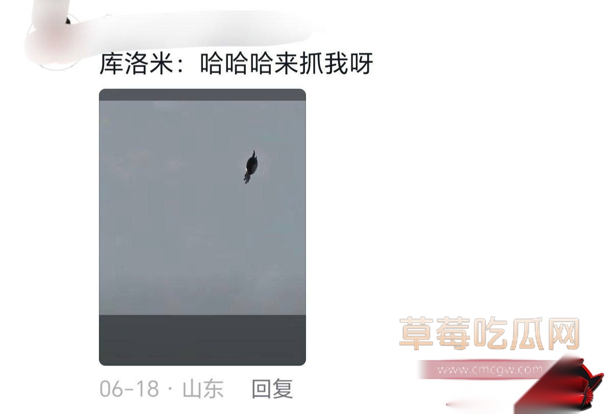 飞僵2 飞僵2