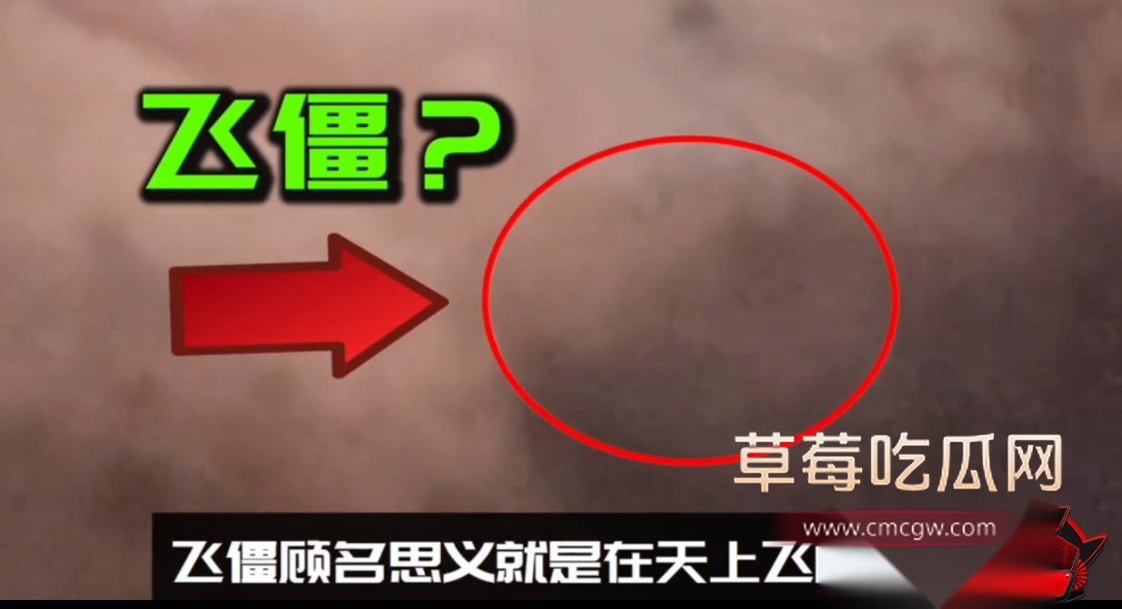 飞僵5 飞僵5