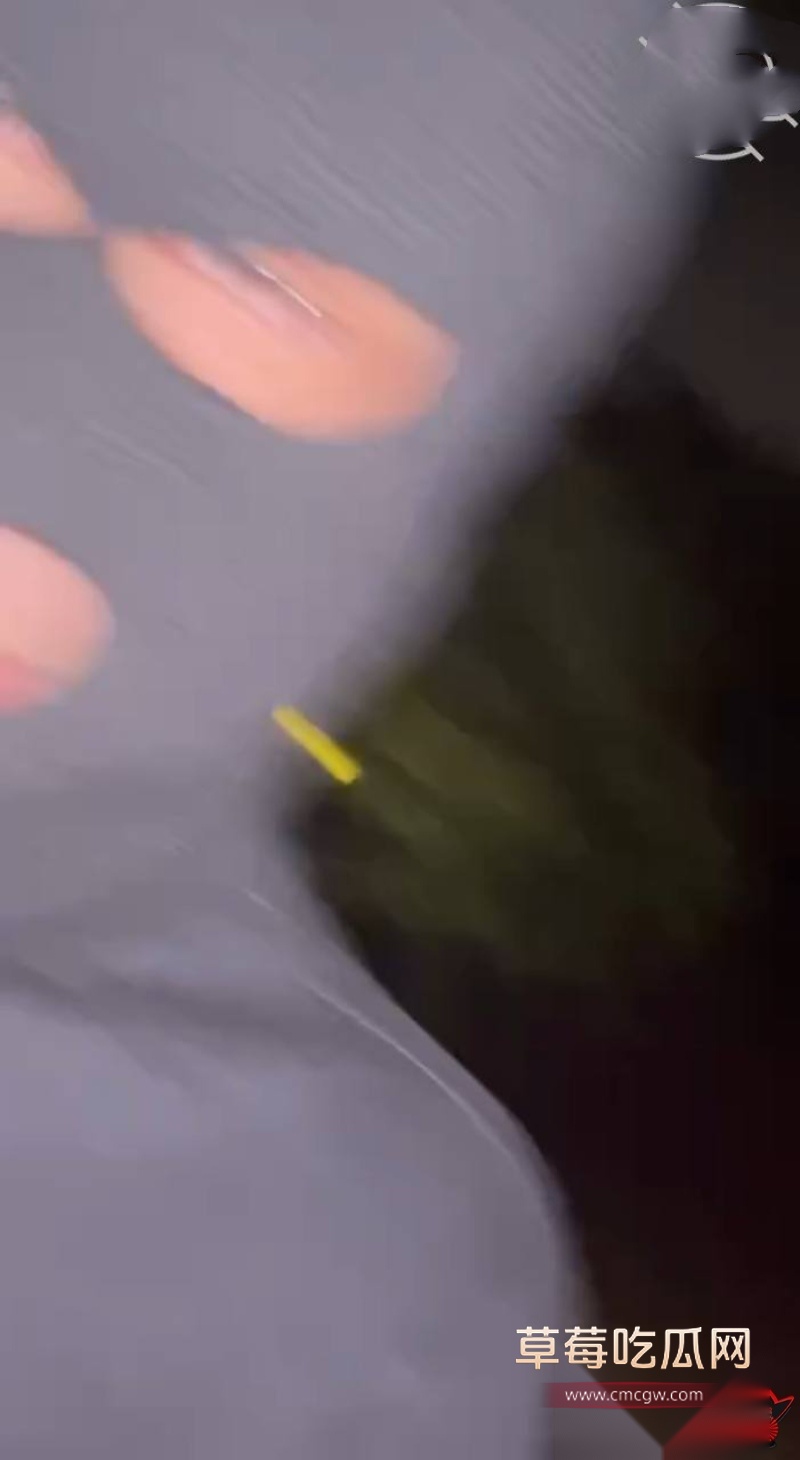 母狗房东5