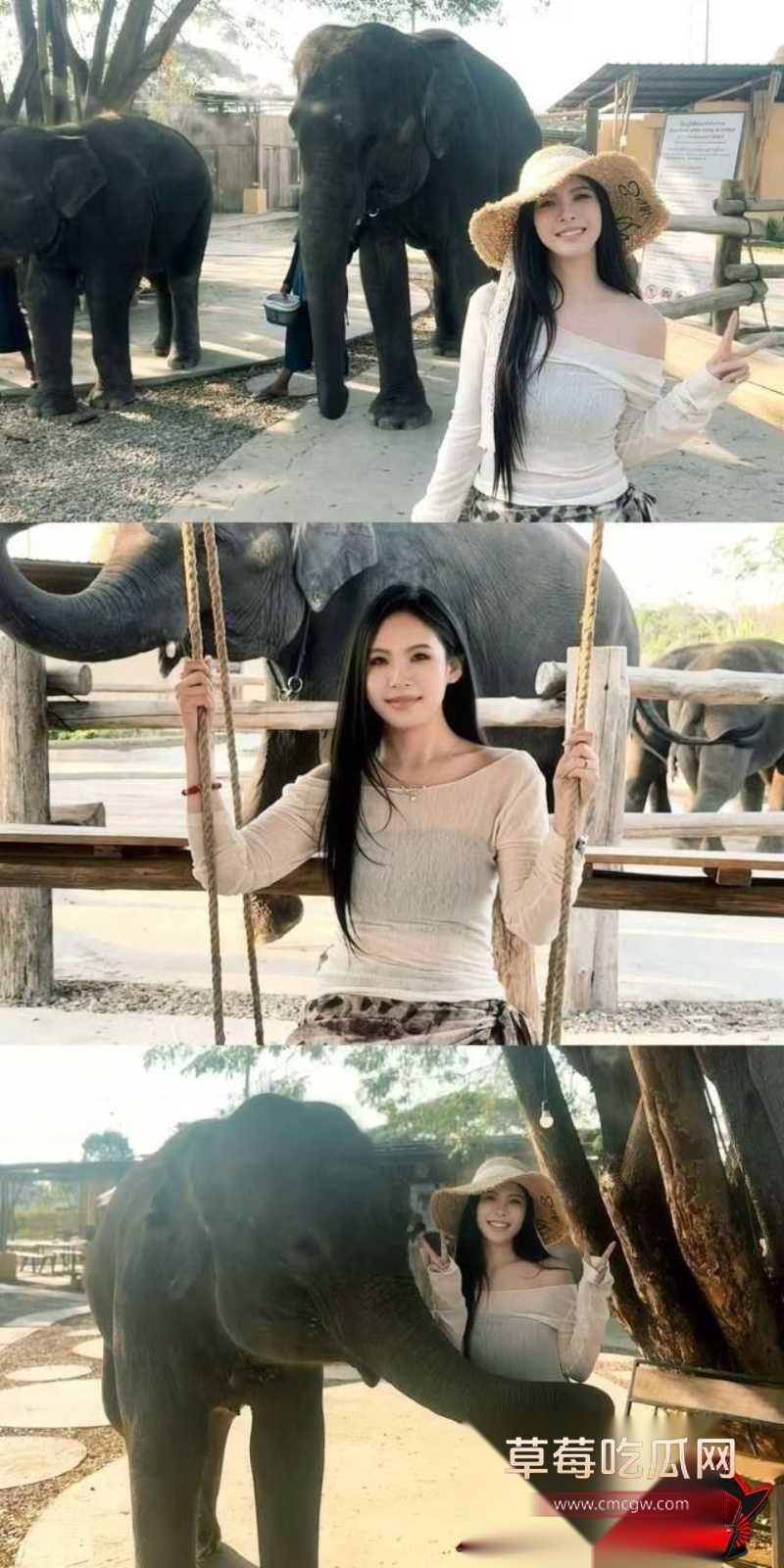 金主被原配当场捉奸2 金主被原配当场捉奸2