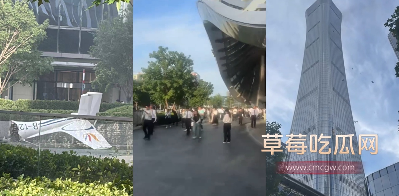 飞机撞了.jpg