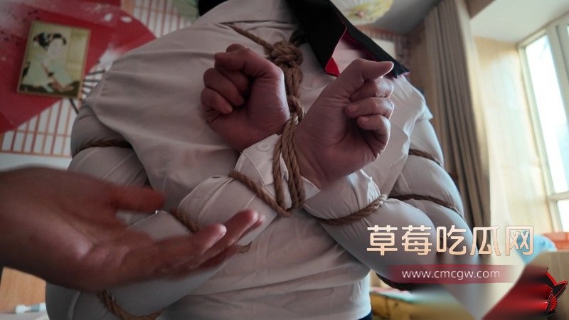 SM调教系列 2 SM调教系列 2