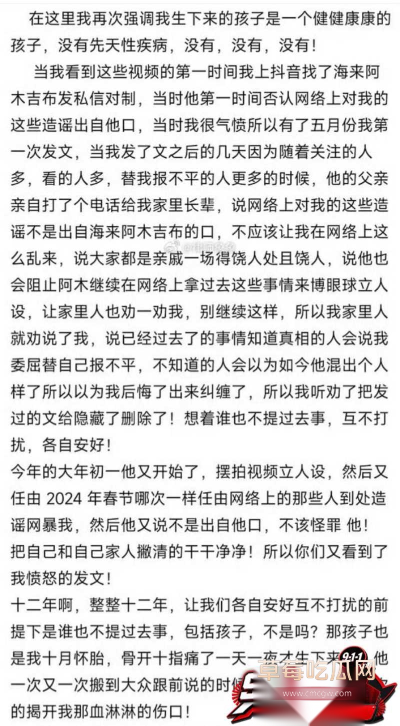 海来阿木演唱会悼念早逝女儿后61