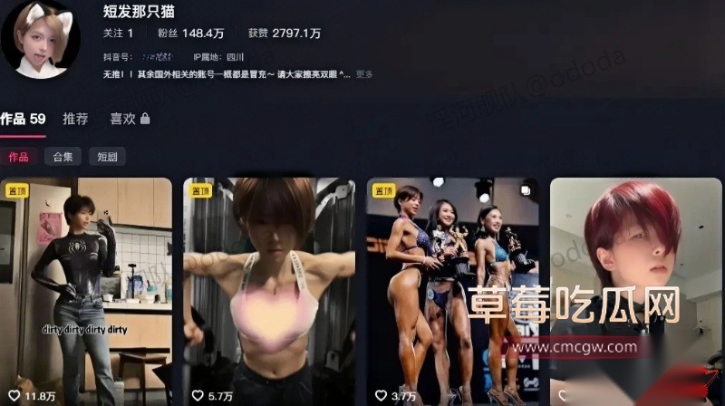 短发那只猫1