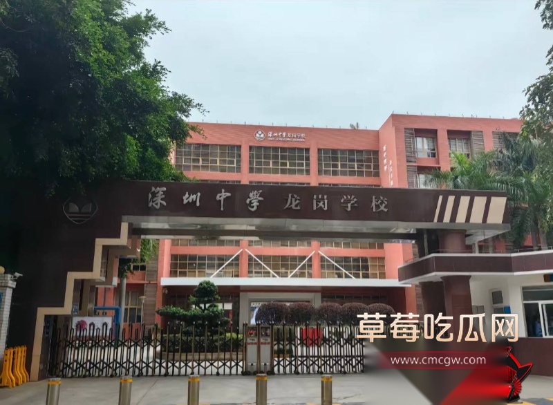 张素荣插足别人婚姻6