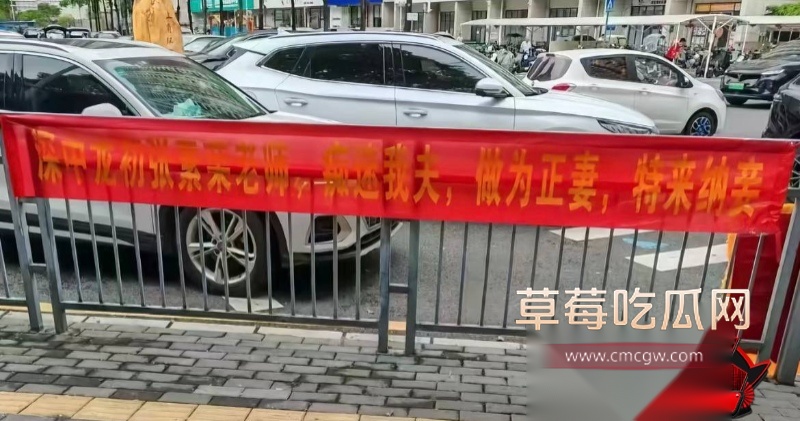 张素荣插足别人婚姻8