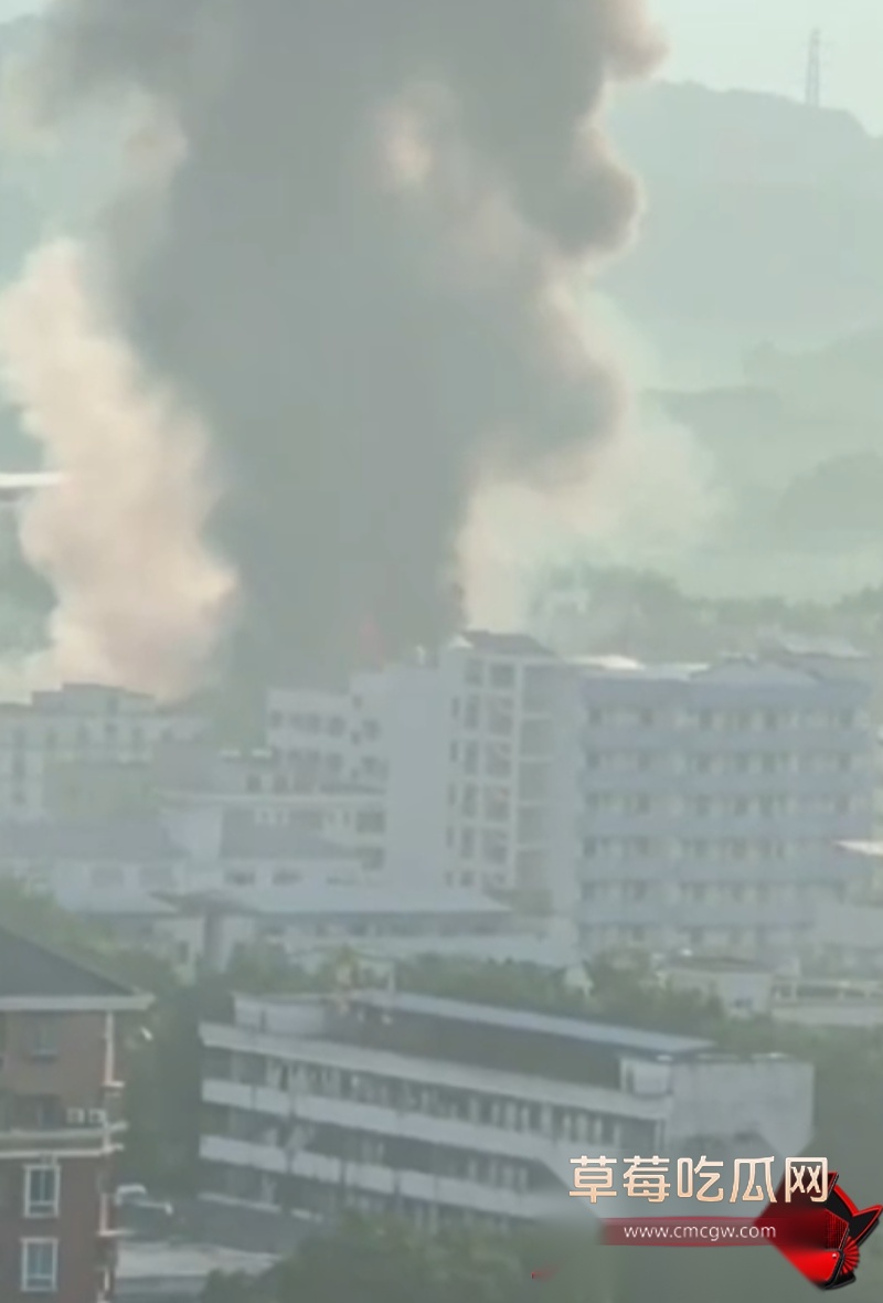 包装厂6