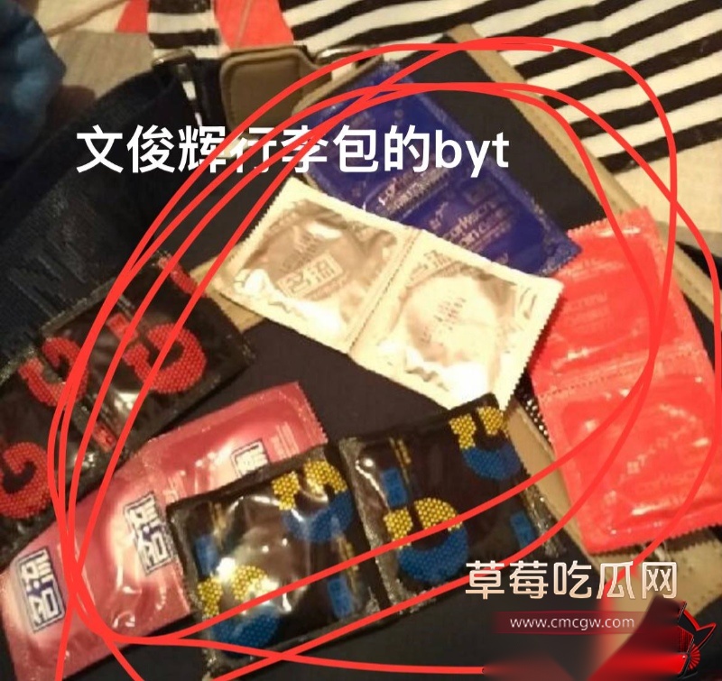 文俊辉酒店幽会爆料28
