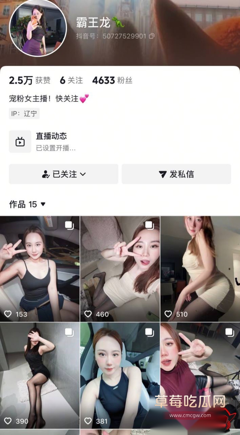 霸王龙 线下约炮福利1