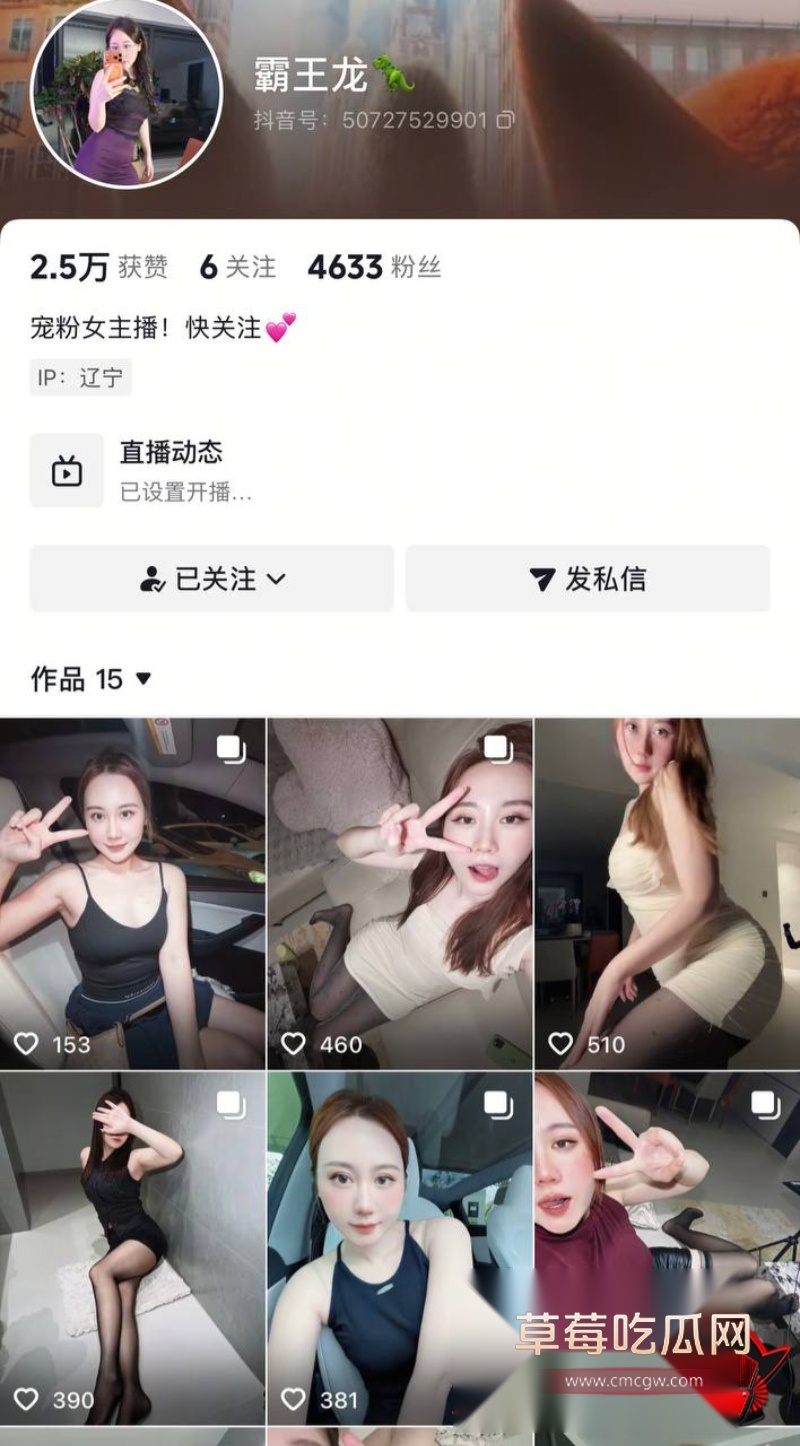 抖音女主播霸王龙4 抖音女主播霸王龙4