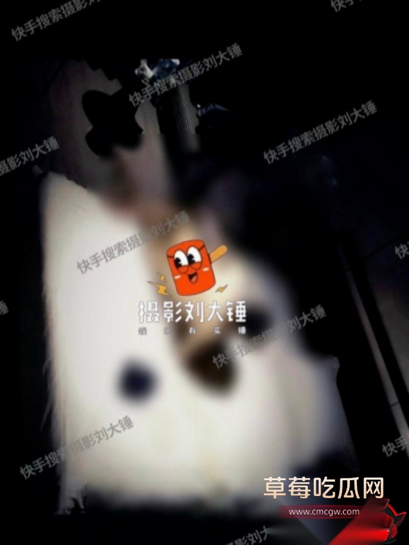 张嘉倪八年婚姻换出轨41